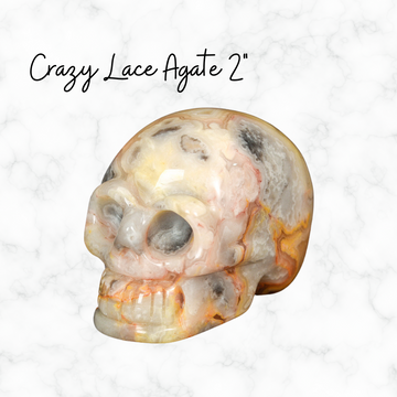 Crazy Lace Agate Natural Crystal Skull Stone Ghost Head Carved Crystal