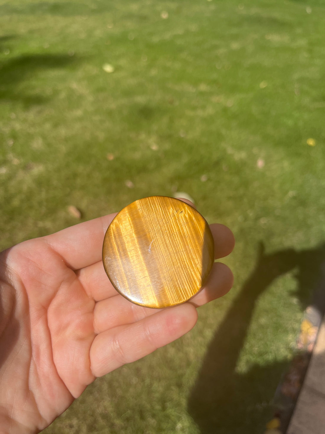 Tigers Eye Lion Carving Pendant