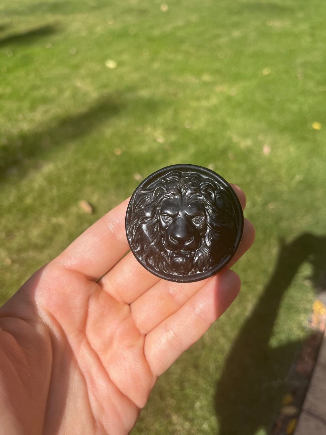 Black Obsidian Lion Carving Pendant