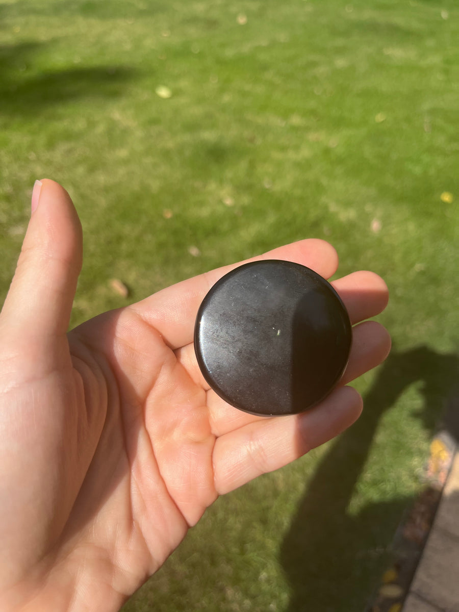 Black Obsidian Lion Carving Pendant