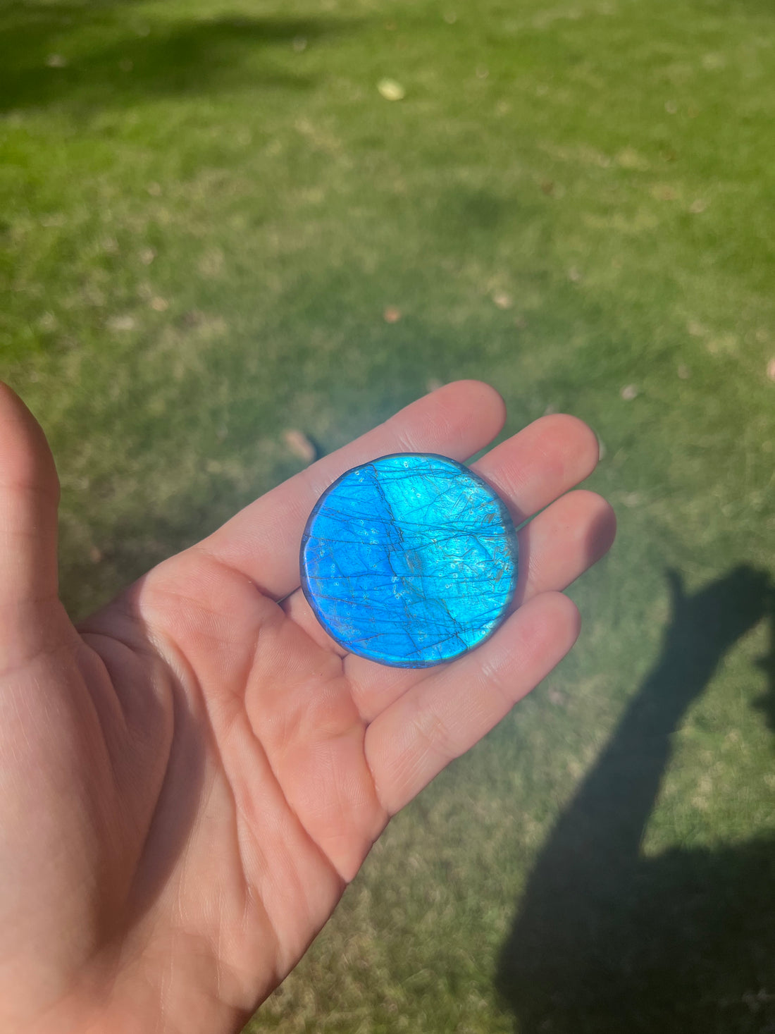 Labradorite Lion Carving Pendant