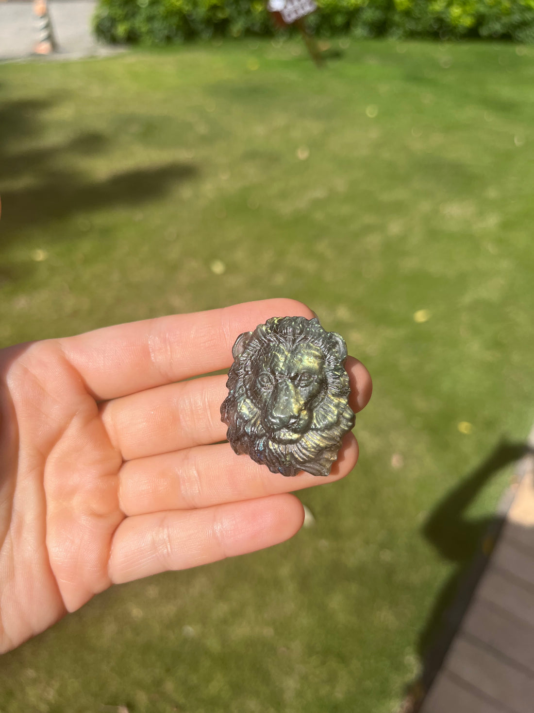 Labradorite Lion Carving Pendant