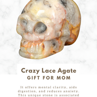 Crazy Lace Agate Skull Natural Crystal Carving