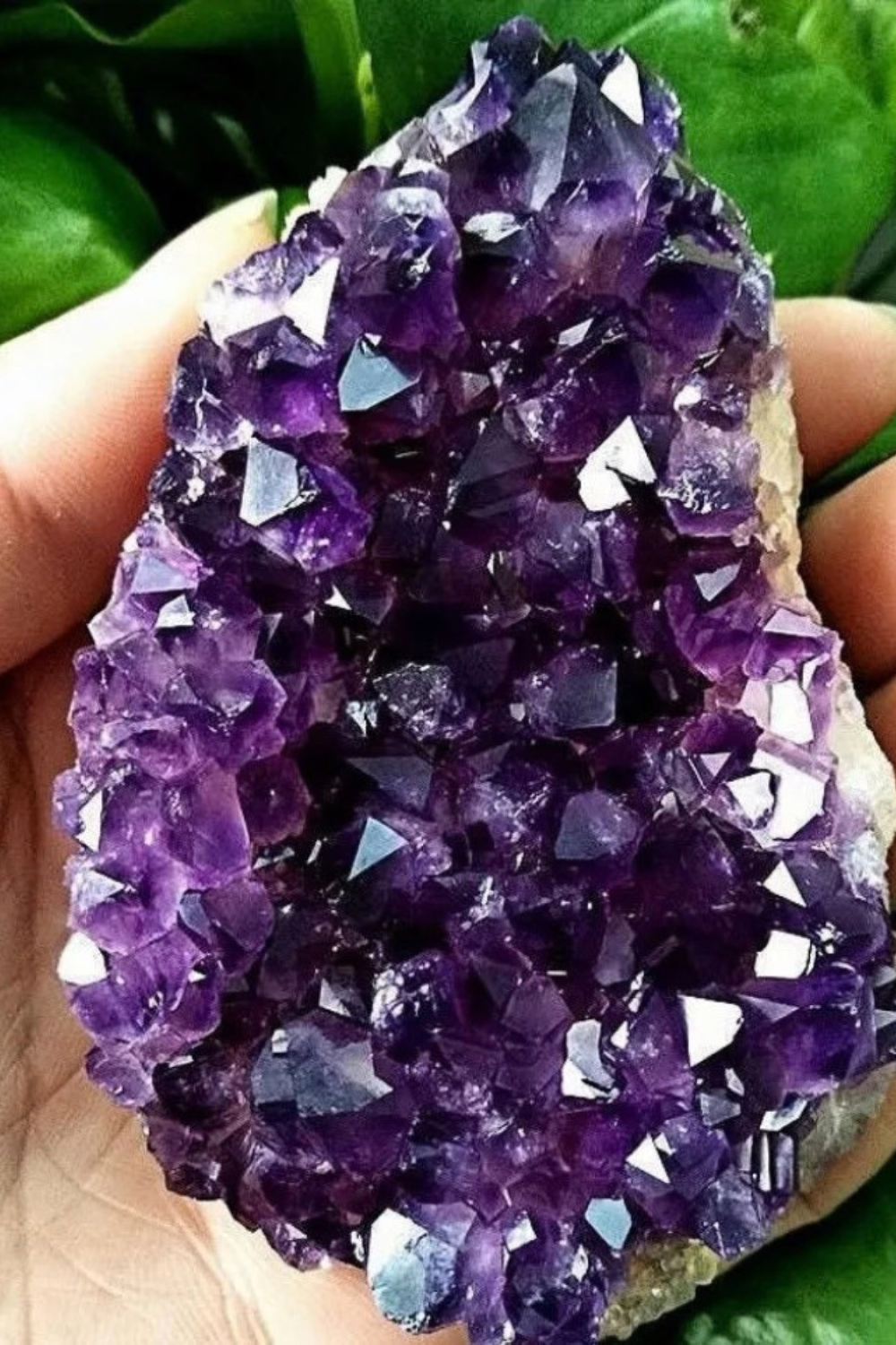 Natural Amethyst Cluster Druzy