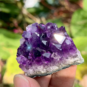 Natural Amethyst Cluster Druzy