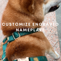 Forest Green Velvet Pet Collar with Customizable Engraved Nameplate